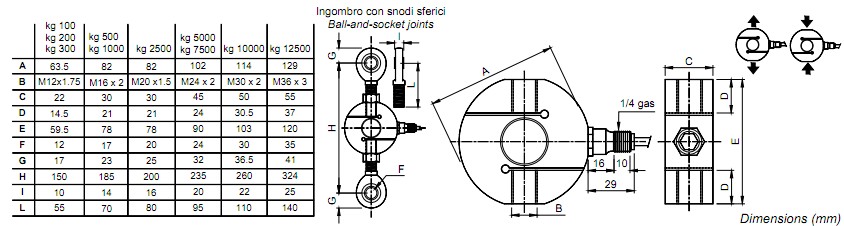CTL-300kg CTL-300kg